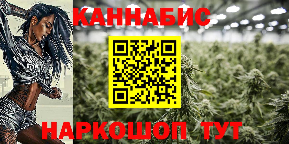 Конопля планчик Кудымкар